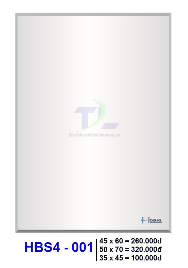 Gương soi phòng tắm HOBIG HBS4-001
